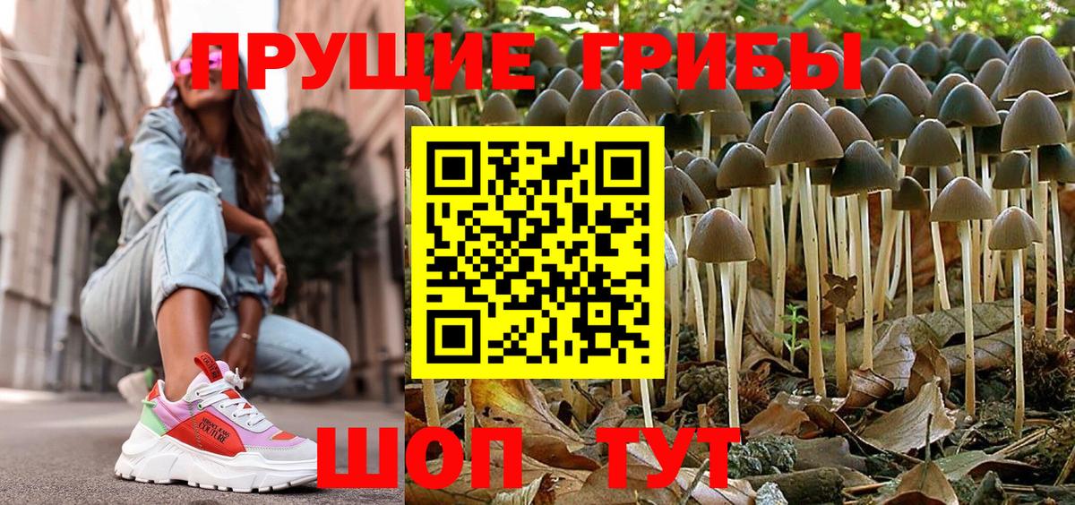 Псилоцибиновые грибы Magic Shrooms Берёзовский