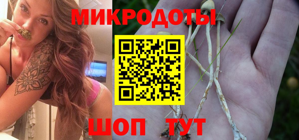 XTC  Берёзовский  Мяу-Мяу  NBOMe  Вход с VPN  Хэш  МАРИХУАНА  ГАШИШ 